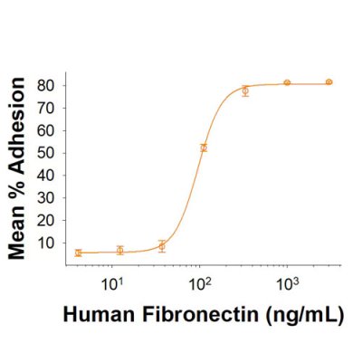Protein, Human Fibronectin Protein, CF, 2 mg