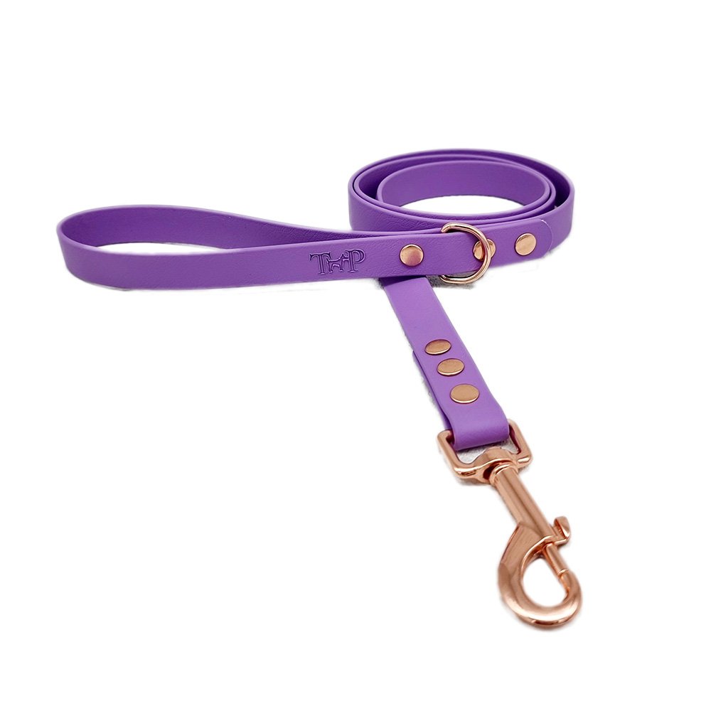 Trinkety Paws City Collection Biothane Dog Lead Amethyst 120cm 20mm