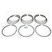 RING SET PISTON (4)