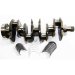 CRANKSHAFT KIT