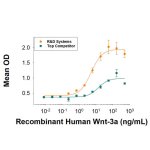 Protein, Recombinant Human Wnt-3a Protein, CF, 500 &micro;g