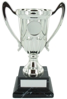 14cm Plastic Silver Cup to suit Centre on Mar