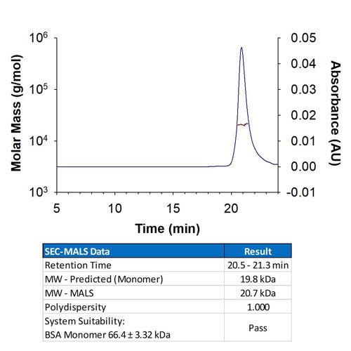 Protein, Recombinant Mouse Sonic Hedgehog/Shh (C25II) N-Terminus, 200 &micro;g