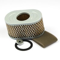 Briggs & Stratton Oval Air Filter - Vanguard