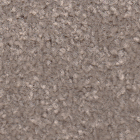 APOLLO PLUS 4M TOASTED ALMOND