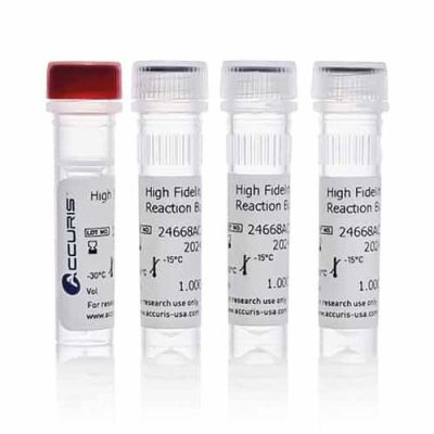 Accuris High Fidelity DNA Polymerase 1000u (2u/μl)