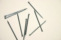 Panel Pins 30mm 0.5kg Box