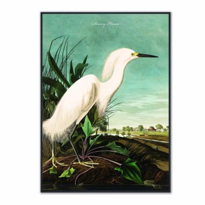 Snowy Heron Velvet Canvas