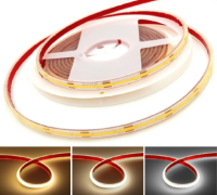 COB 10M 24V IP65 4000K