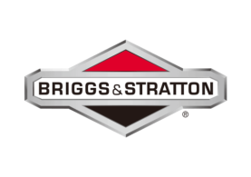Briggs & Stratton - Cylinders & Pistons