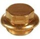 1" Brass Plug