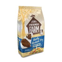 Supreme Gerty Guinea Pig