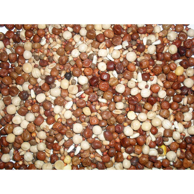Johnston & Jeff Young Bird No Maize Pigeon Corn 20kg