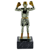 24cm Boxing Trophy (V2251)