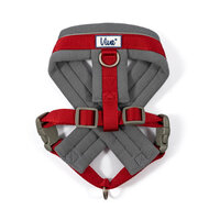 Ancol Viva Padded Harness Medium 41-53cm Red x 1