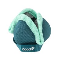 Coachi Puppy & Mini Chase & Treat Dog Toy - Teal & Mint x 1