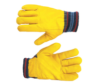 Lined Leather Freezer Glove (Pair)