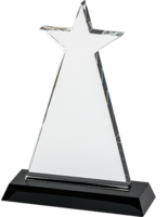 23cm Star Award on Black Base (Satin Box)