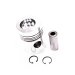 PISTON, PIN & CLIPS