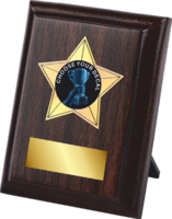 10cm Star Plaque