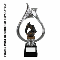 25cm Flex Trophy with Silver Surrond