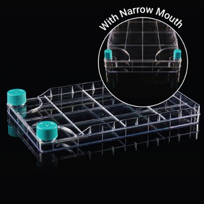 Cell Culture System - WhiteSci