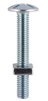 Gutter Bolt & Nut M6 X 30mm Pack of 120