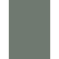 Farrow & Ball Green Smoke No.47 Colour Swatch