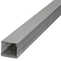 CD 40X80 - 3240198