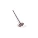 INTAKE VALVE
