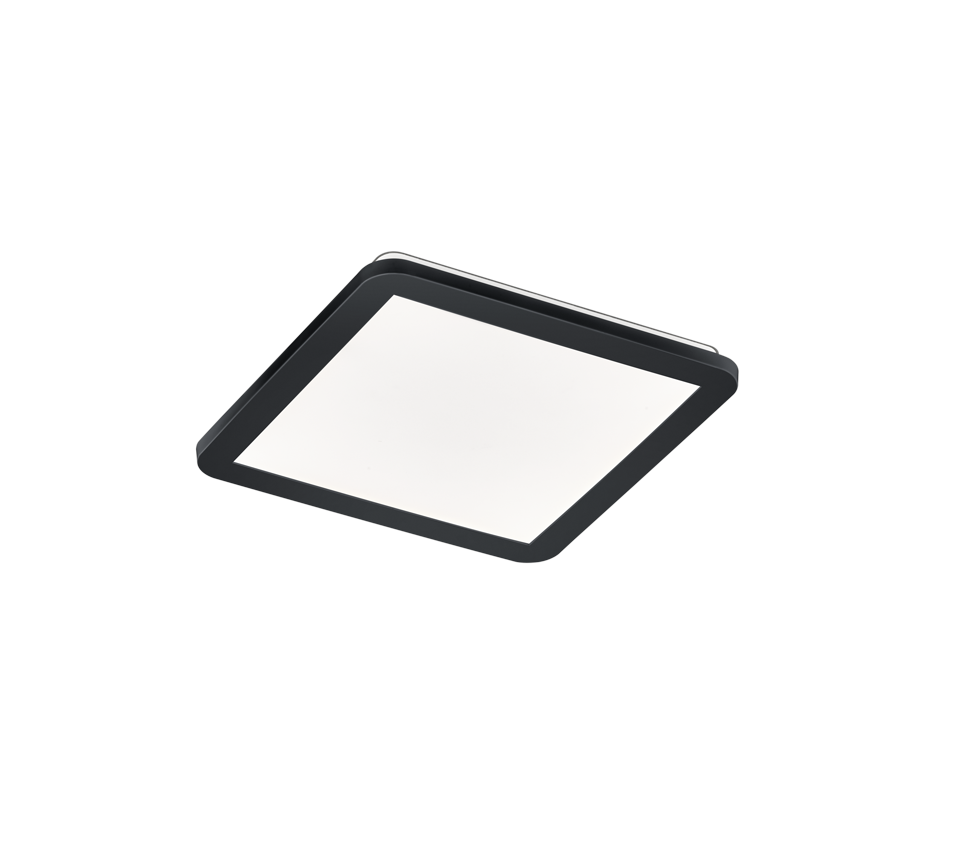 Trio Camillus Matt Black Ceilling Light 30CM