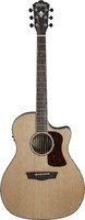 Washburn Heritage HG26SCE