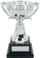 20cm Silver Metal Cup with Centre on Black Ma