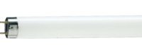 PHILIPS  TLD 36W/95 FL LAMP 2800LM