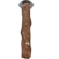 Beaks Perch of Sea Shells - Small x 1