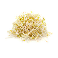 Bean Sprouts 250g