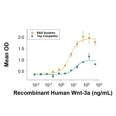 Protein, Recombinant Human Wnt-3a Protein, CF, 10 &micro;g