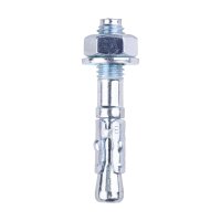 Timco Through Bolt M10 x 100mm Bag of 18