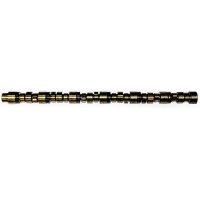 CAMSHAFT ASSY