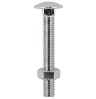 Cup Head Bolt & Nut Stainless Steel M10 X 150 Pack of 2