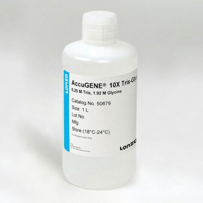AccuGENE&reg; 10X Tris-Gly SDS (1L)