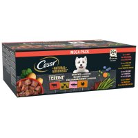 Cesar Dog Natural Goodness Mixed Selection in Terraine 24x100gm