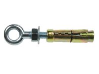 SHIELD ANCHOR AEBM10 EYE BOLT