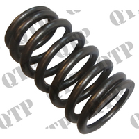 Valve Spring
