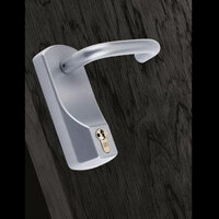 EXISAFE OUTSIDE ACCESS DEVICE - LEVER