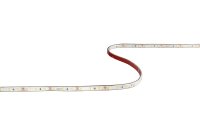 VEGAS EXPRESS 4.8W/m 12V LED striplight 4000K IP20 5m