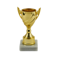 15cm Gold Plastic Cup Trophy (V202)