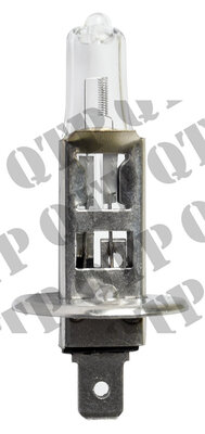 3102_Bulb.jpg