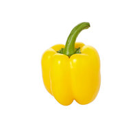 Yellow Peppers Single