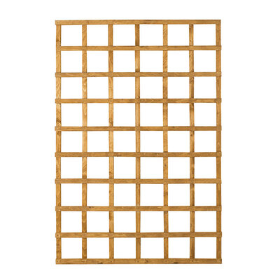 Heavy Duty Trellis 1828x1219mm (6x4ft)